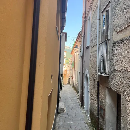 Bio ゲストハウス