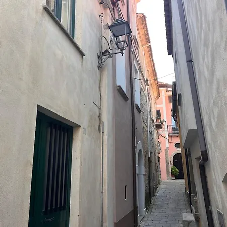 Bio ゲストハウス Torraca