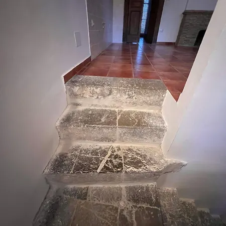 Bio ゲストハウス *