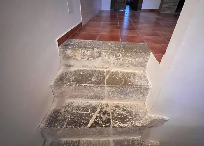 Bio Πανσιόν *